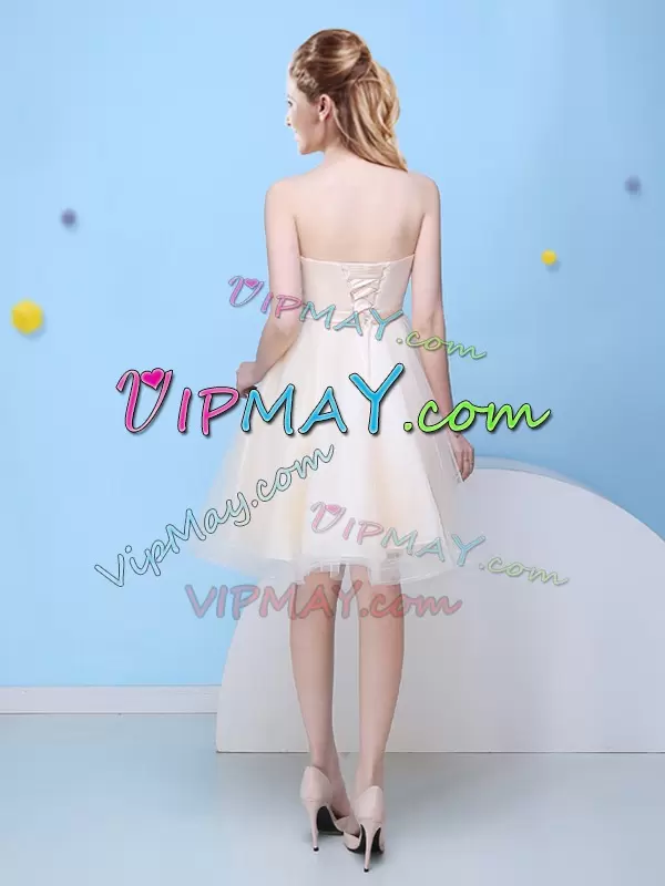 Customized Champagne Tulle Skirt Quincenera Court Party Dress with Bow