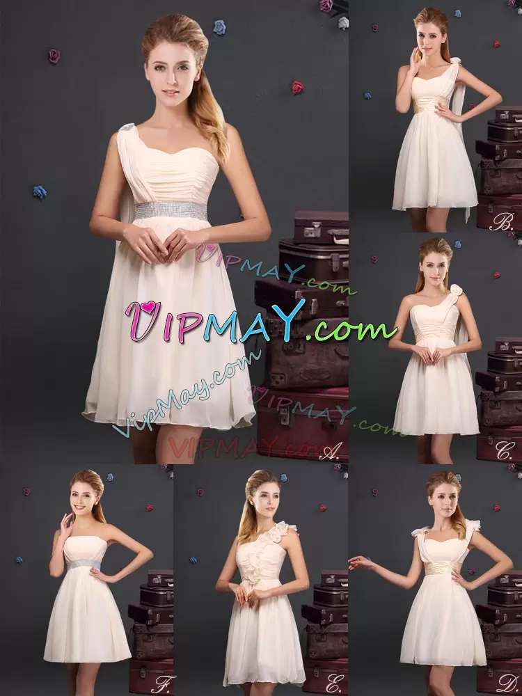 Empire Bridesmaid Dress Champagne One Shoulder Chiffon Sleeveless Mini Length Zipper