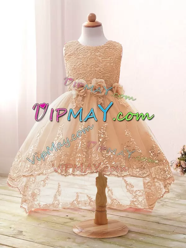 Adorable Sleeveless Scoop Lace and Bowknot and Hand Made Flower Zipper Pageant Dress Toddler