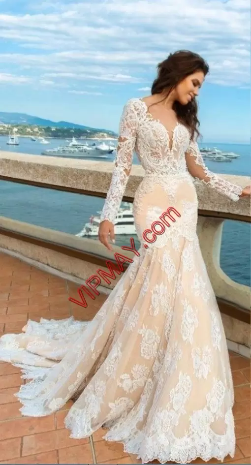 Fine Champagne Tulle Backless Sweetheart Long Sleeves Oscars Dresses Brush Train Lace and Appliques
