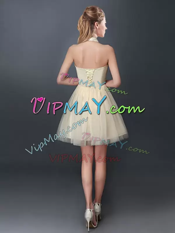 Spectacular Mini Length A-line Sleeveless Champagne Bridesmaid Dresses Lace Up