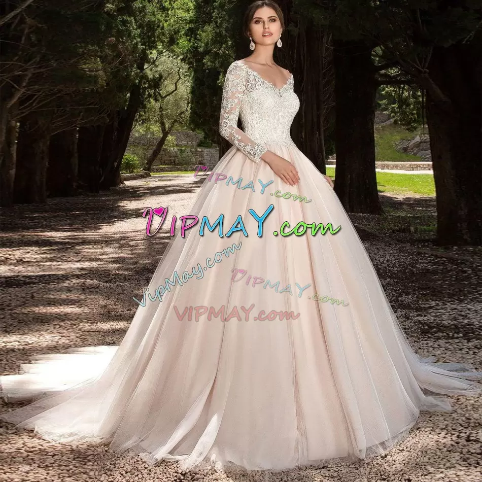 Pink Ball Gowns V-neck Long Sleeves Tulle With Train Chapel Train Clasp Handle Lace Wedding Gowns