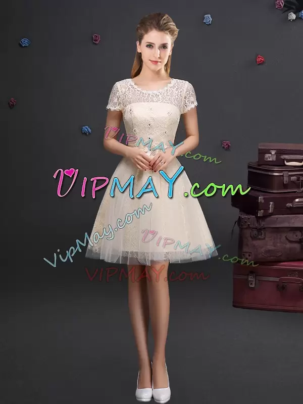 Fabulous Champagne Scoop Neckline Lace and Appliques and Belt Dama Dress Short Sleeves Lace Up