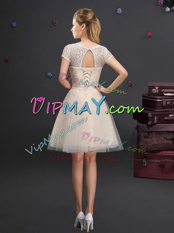 Fabulous Champagne Scoop Neckline Lace and Appliques and Belt Dama Dress Short Sleeves Lace Up