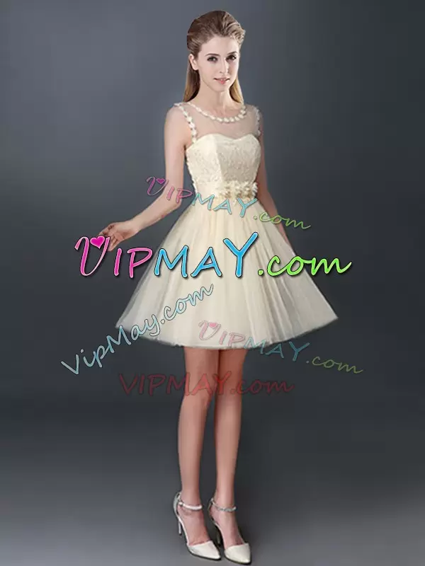 Romantic Champagne Lace Up Quinceanera Court Dresses Lace and Hand Made Flower Sleeveless Mini Length