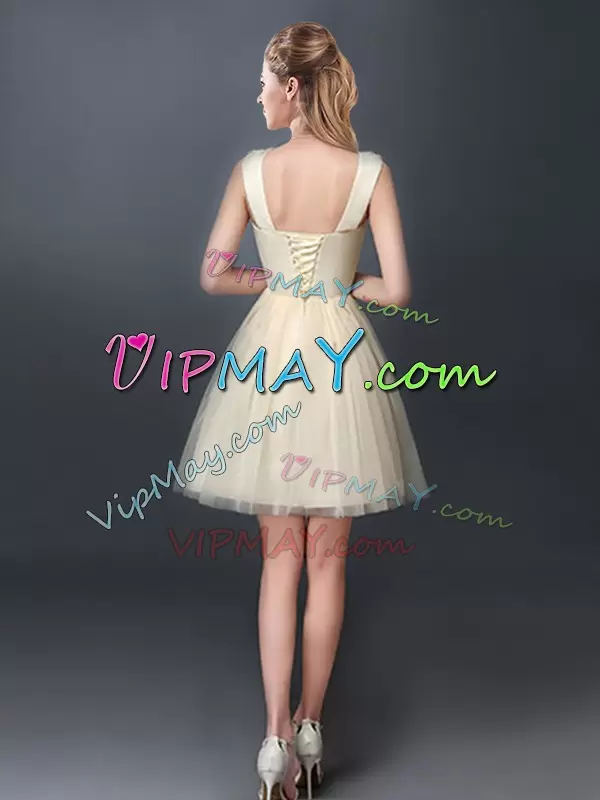Romantic Champagne Lace Up Quinceanera Court Dresses Lace and Hand Made Flower Sleeveless Mini Length