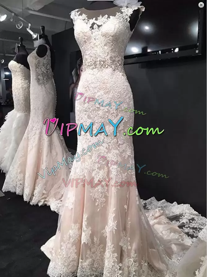 Superior Appliques Wedding Dress Champagne Lace Up Sleeveless Sweep Train