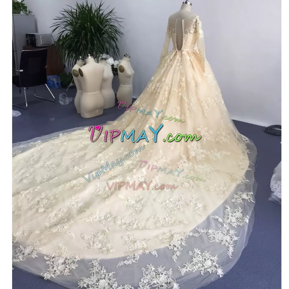 Ball Gowns Long Sleeves Champagne Wedding Dresses Cathedral Train Backless