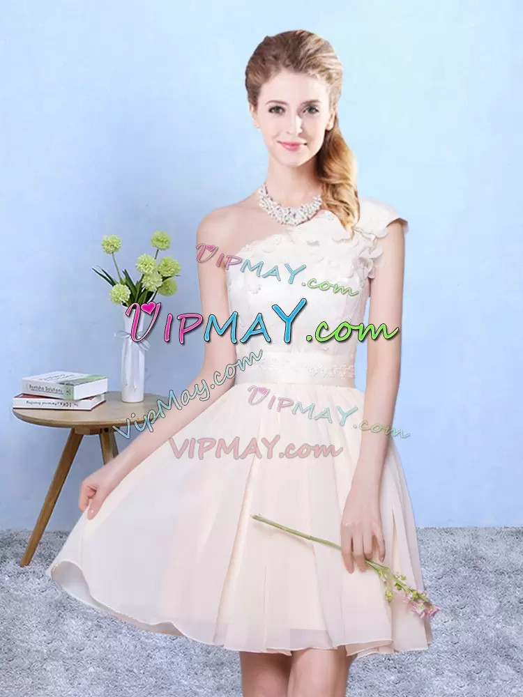 Champagne Chiffon Lace Up Bridesmaid Gown Cap Sleeves Knee Length Appliques