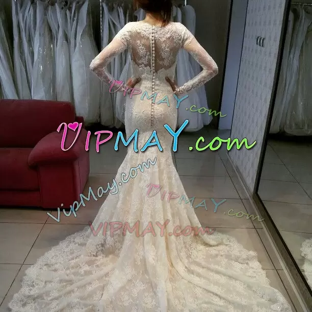 Sophisticated Scalloped Long Sleeves Sweep Train Clasp Handle Wedding Gown Champagne Lace Lace