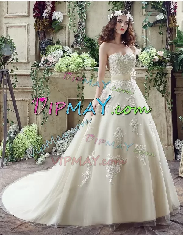 Flirting Sweetheart Sleeveless Tulle Wedding Dress Lace and Appliques and Bowknot Court Train Lace Up
