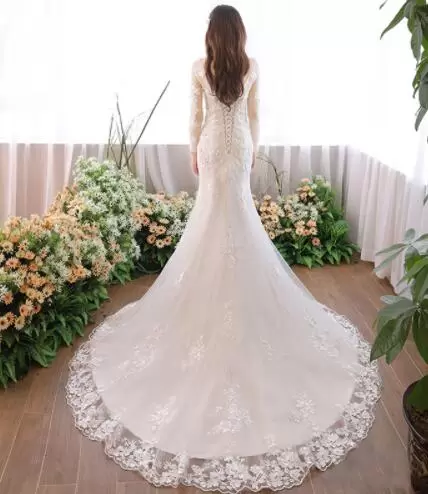 White Bridal Gown Tulle Sweep Train Long Sleeves Appliques
