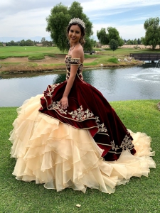 Burgundy Velvet and Gold Organza Embroidery Quinceanera Dress
