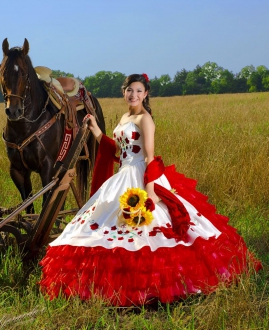 New Mexican White and Red Rose Embroidery Quinceanera Dress without Train