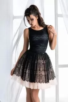 Mini Length Black Prom Evening Gown Tulle Sleeveless Lace