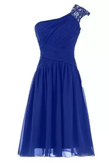 Wonderful Royal Blue Sleeveless Chiffon Side Zipper Homecoming Party Dress for Prom and Party and Military Ball