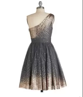 Charming Grey A-line One Shoulder Sleeveless Tulle Mini Length Side Zipper Sequins Dress for Prom