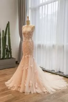 Bateau Sleeveless Brush Train Zipper Prom Homecoming Dress Champagne Tulle Appliques and Hand Made Flower