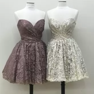 Chocolate A-line Ruching Prom Dress Lace Sleeveless Mini Length