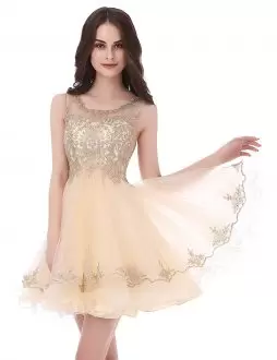 Short Champagne Illusion Sheer Back Prom Dress Under 100 Dollars