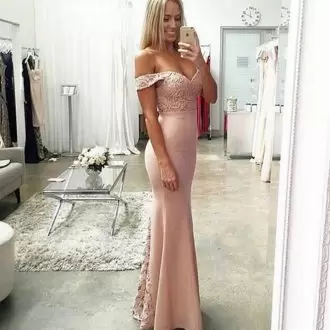 Dramatic Pink Lace Up Appliques Sleeveless Floor Length