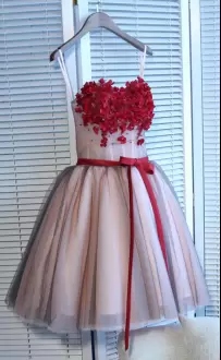 Mini Length Pink Prom Gown Tulle Sleeveless Appliques and Belt