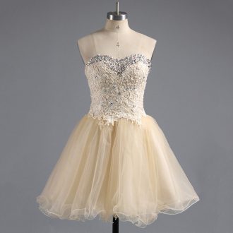 Captivating Sleeveless Tulle Mini Length Lace Up Prom Dress in Champagne with Beading and Lace