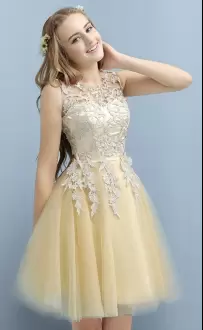 Sumptuous Champagne Sleeveless Tulle Lace Up for Prom and Party