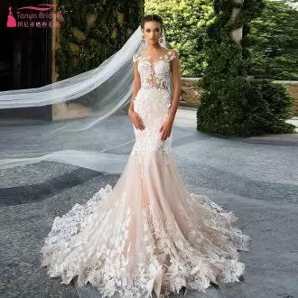Champagne Tulle Backless Scoop Sleeveless Homecoming Dresses Brush Train Lace and Appliques