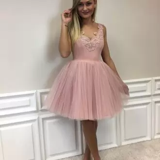 Cheap V-neck Pink Tulle Zipper Short Prom Dress