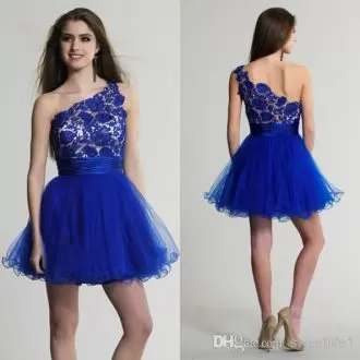 Noble Mini Length A-line Sleeveless Royal Blue Prom Evening Gown Side Zipper