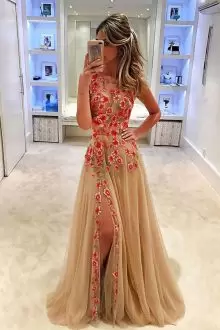 Champagne Lace Up Scoop Appliques Prom Dresses Tulle Sleeveless