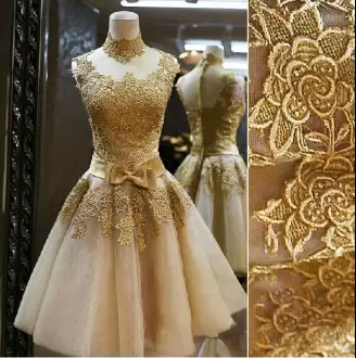 Shining Champagne Homecoming Dress Prom and Party with Appliques and Bowknot High-neck Sleeveless Zipper
