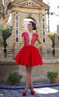 Best Lace Prom Gown Red Cap Sleeves Mini Length Homecoming Dress