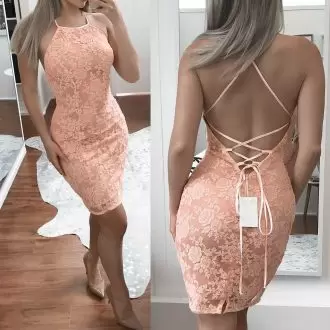 Custom Made Pink Backless Prom Gown Sleeveless Mini Length Lace