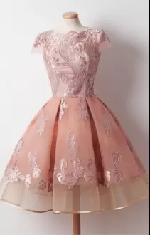 Extravagant Peach Ball Gowns Appliques Prom Dresses Zipper Organza Sleeveless Knee Length