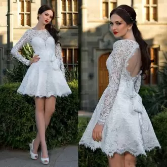 Wonderful Scoop Long Sleeves Lace Evening Dress Lace Backless