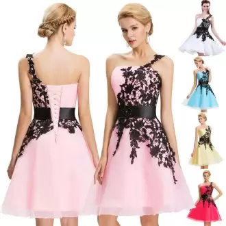 Pink A-line Appliques Prom Party Dress Lace Up Chiffon Sleeveless Mini Length