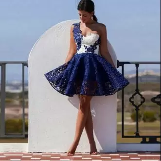 Fabulous Blue And White Lace Up One Shoulder Lace Prom Homecoming Dress Lace Sleeveless