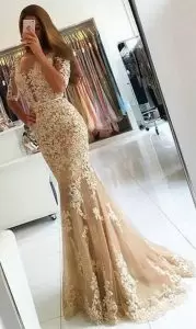 V-neck Half Sleeves Dress for Prom Floor Length Appliques Champagne Tulle and Lace