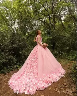 Cinderella Baby Pink Straps Neckline Hand Made Flower Sweet 15 Quinceanera Dresses with Train