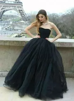 Cheap Black Ruching Tulle Quinceanera Dress Simple Style Sleeveless Under 200