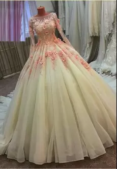 Hot Sale Scoop Long Sleeves Vestidos de Quinceanera With Train Beading and Appliques and Ruching and Hand Made Flower Champagne Tulle