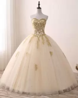 Champagne Sleeveless Beading and Appliques Floor Length Quinceanera Gowns