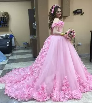 Fitting Pink 3D Flowers 15th Birthday Quinceanera Dress Off The Shoulder with Court Train