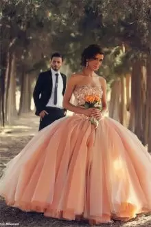 Perfect Tulle Blush Big Skirt Sleeveless Quinceanera Dress Beaded Crystal Bodice