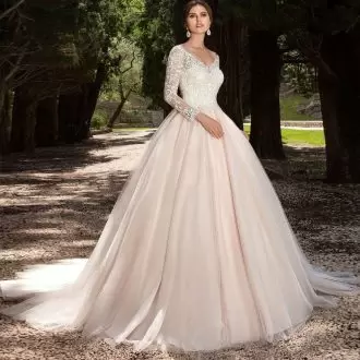 Pink Ball Gowns V-neck Long Sleeves Tulle With Train Chapel Train Clasp Handle Lace Wedding Gowns