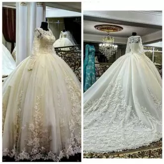 Tulle Long Sleeves Wedding Gown Cathedral Train and Appliques