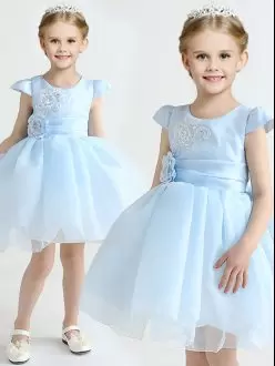 Organza Scoop Cap Sleeves Zipper Appliques and Bowknot and Hand Made Flower Toddler Flower Girl Dress in Light Blue