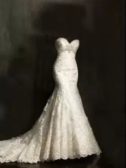 Court Train Mermaid Wedding Dress White Sweetheart Tulle Sleeveless Zipper